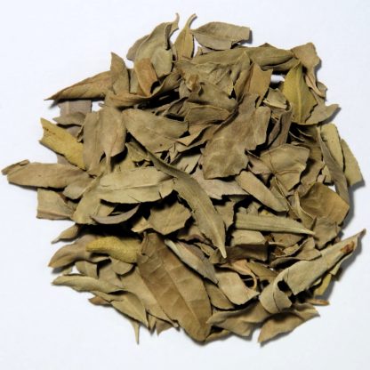 羅布麻茶 Apocynum Venetum