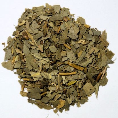尤加利葉 Eucalyptus Leaves
