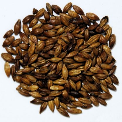 大麥茶 Barley Tea  