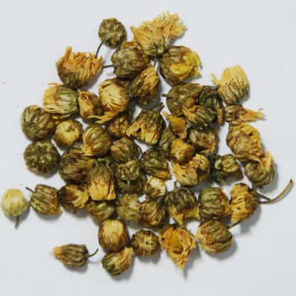 胎菊  Embryo Chrysanthemum