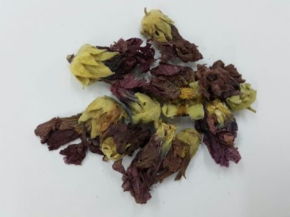 紫羅蘭花 Blue Mallow